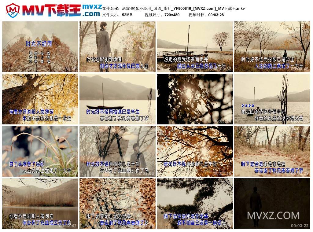 赵鑫-时光不经用_国语_流行_YF800816